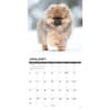 image Just Pomeranian Puppies 2027 Wall Calendar Second Alternate Image