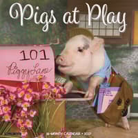image Pigs At Play 2027 Wall Calendar Main Product Image