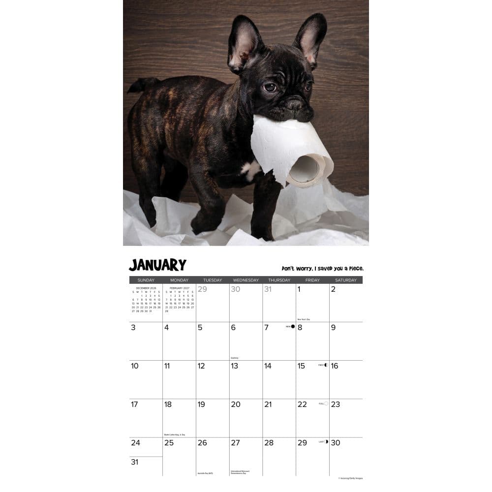 Pardon My Frenchie 2027 Wall Calendar Second Alternate Image