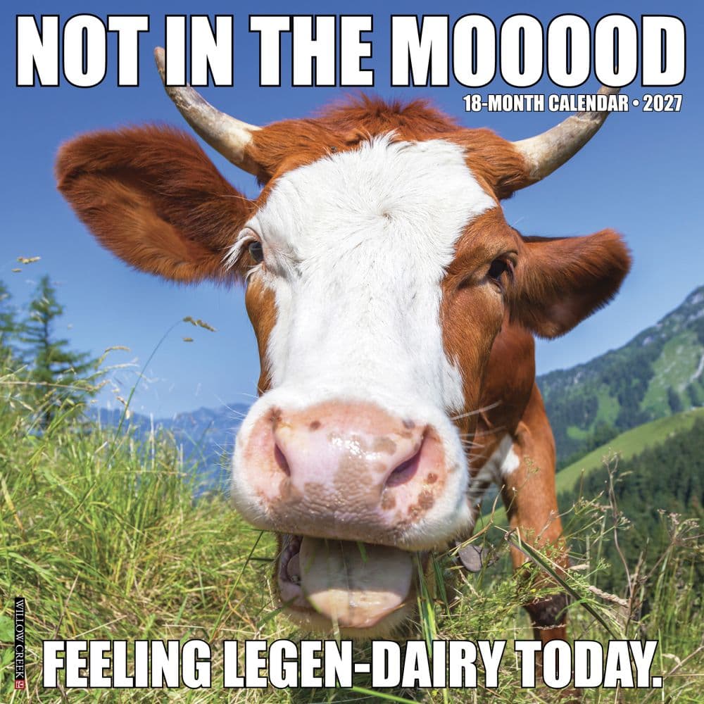 Not In The Mooood 2027 Wall Calendar Main Product Image