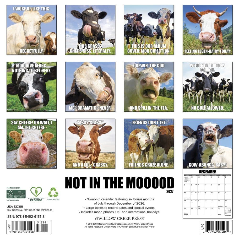 Not In The Mooood 2027 Wall Calendar First Alternate Image