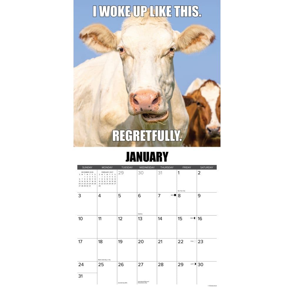 Not In The Mooood 2027 Wall Calendar Second Alternate Image