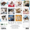 image Naptime Dogs 2027 Wall Calendar First Alternate Image