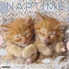 image Naptime Cats 2027 Wall Calendar Main Product Image