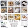 image Naptime Cats 2027 Wall Calendar First Alternate Image