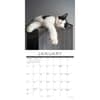 image Naptime Cats 2027 Wall Calendar Second Alternate Image