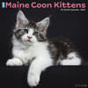 image Maine Coon Kittens 2027 Wall Calendar Main Product Image