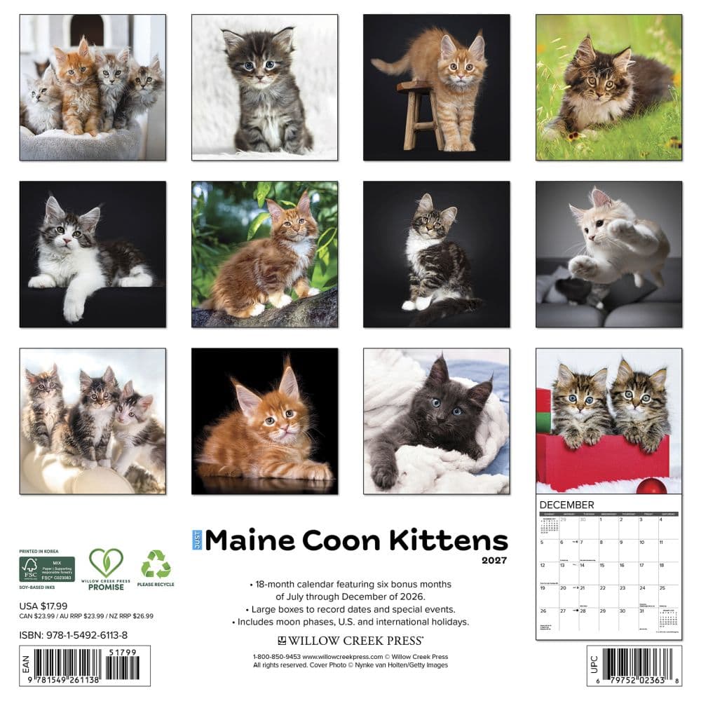 Maine Coon Kittens 2027 Wall Calendar First Alternate Image