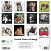 image Maine Coon Kittens 2027 Wall Calendar First Alternate Image