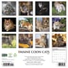 image Just Maine Coon Cats 2027 Wall Calendar First Alternate Image