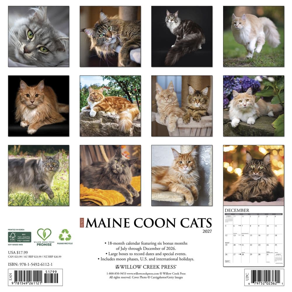 Just Maine Coon Cats 2027 Wall Calendar First Alternate Image