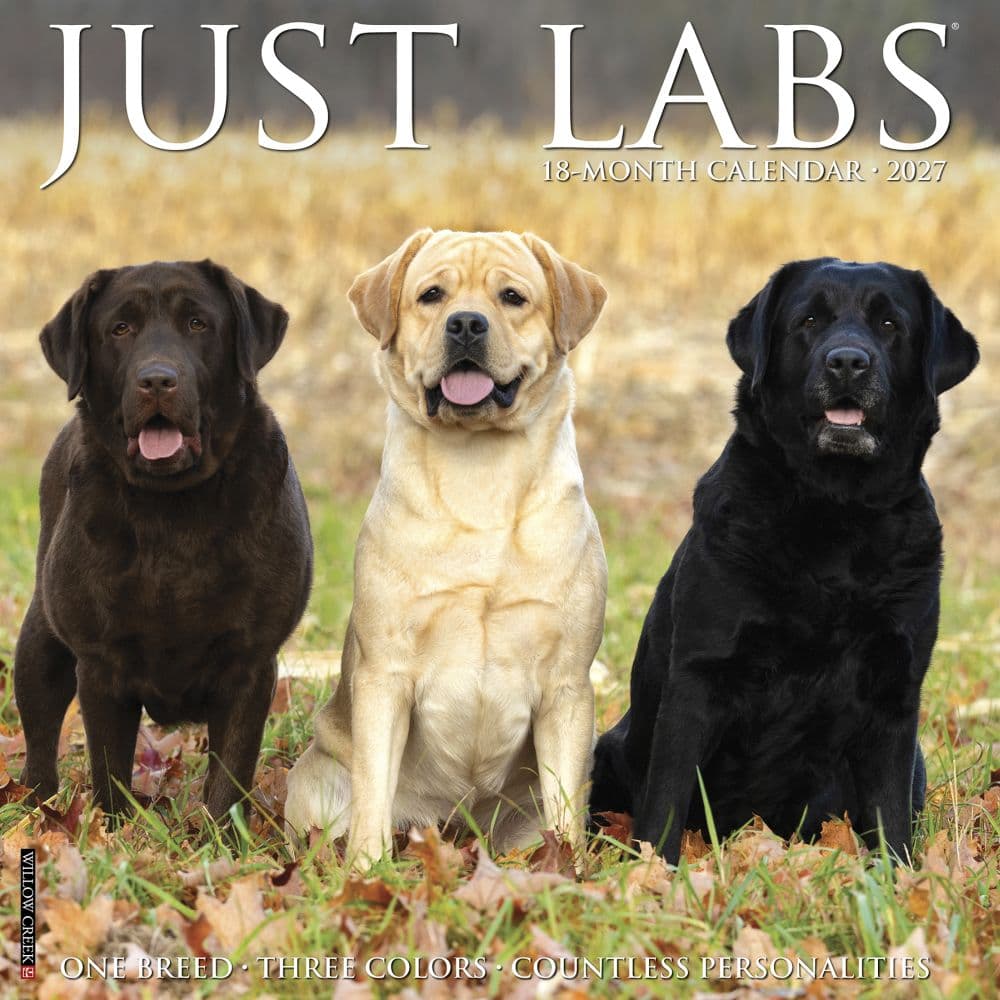 Just Labs 2027 Wall Calendar Main Product Image