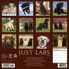 image Just Labs 2027 Wall Calendar First Alternate Image