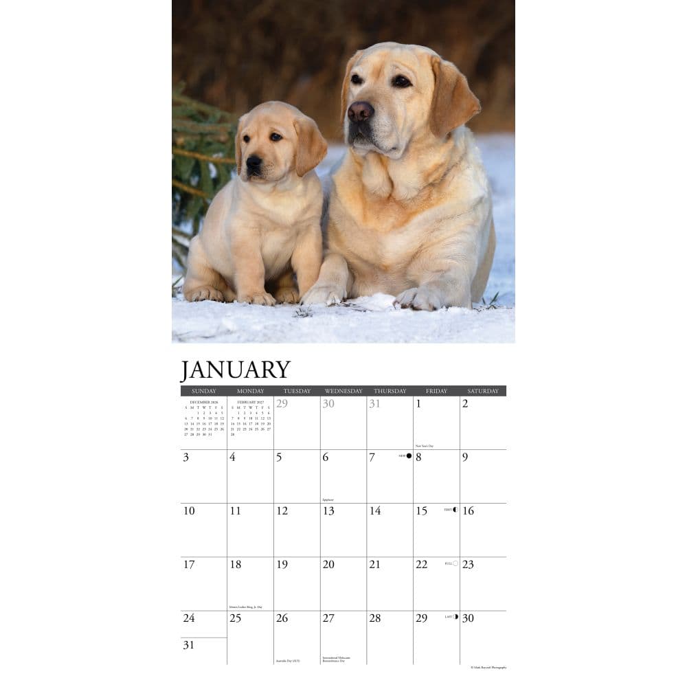 Just Labs 2027 Wall Calendar Second Alternate Image