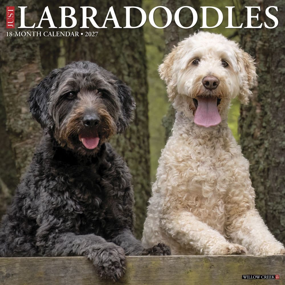 Just Labradoodles 2027 Wall Calendar Main Product Image