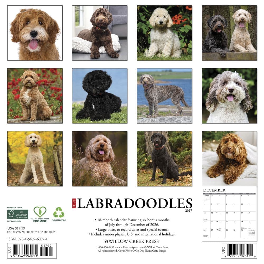 Just Labradoodles 2027 Wall Calendar First Alternate Image