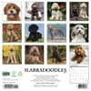 image Just Labradoodles 2027 Wall Calendar First Alternate Image