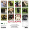 image Just Lab Puppies 2027 Wall Calendar First Alternate Image