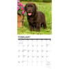 image Just Lab Puppies 2027 Wall Calendar Second Alternate Image