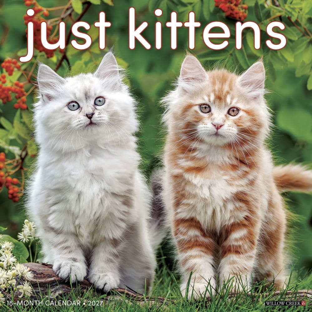 Just Kittens 2027 Wall Calendar Main Product Image