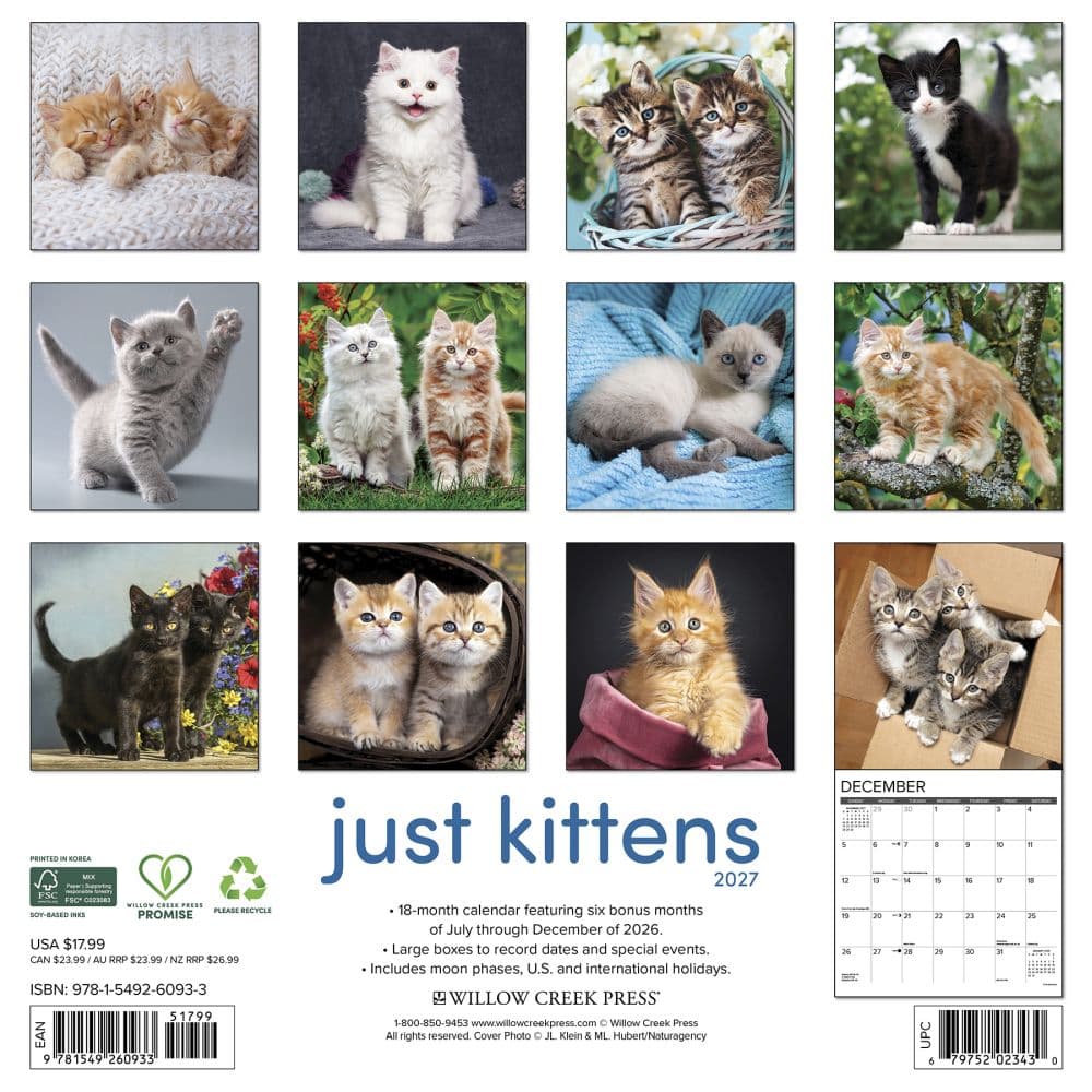 Just Kittens 2027 Wall Calendar First Alternate Image