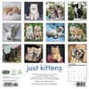 image Just Kittens 2027 Wall Calendar First Alternate Image