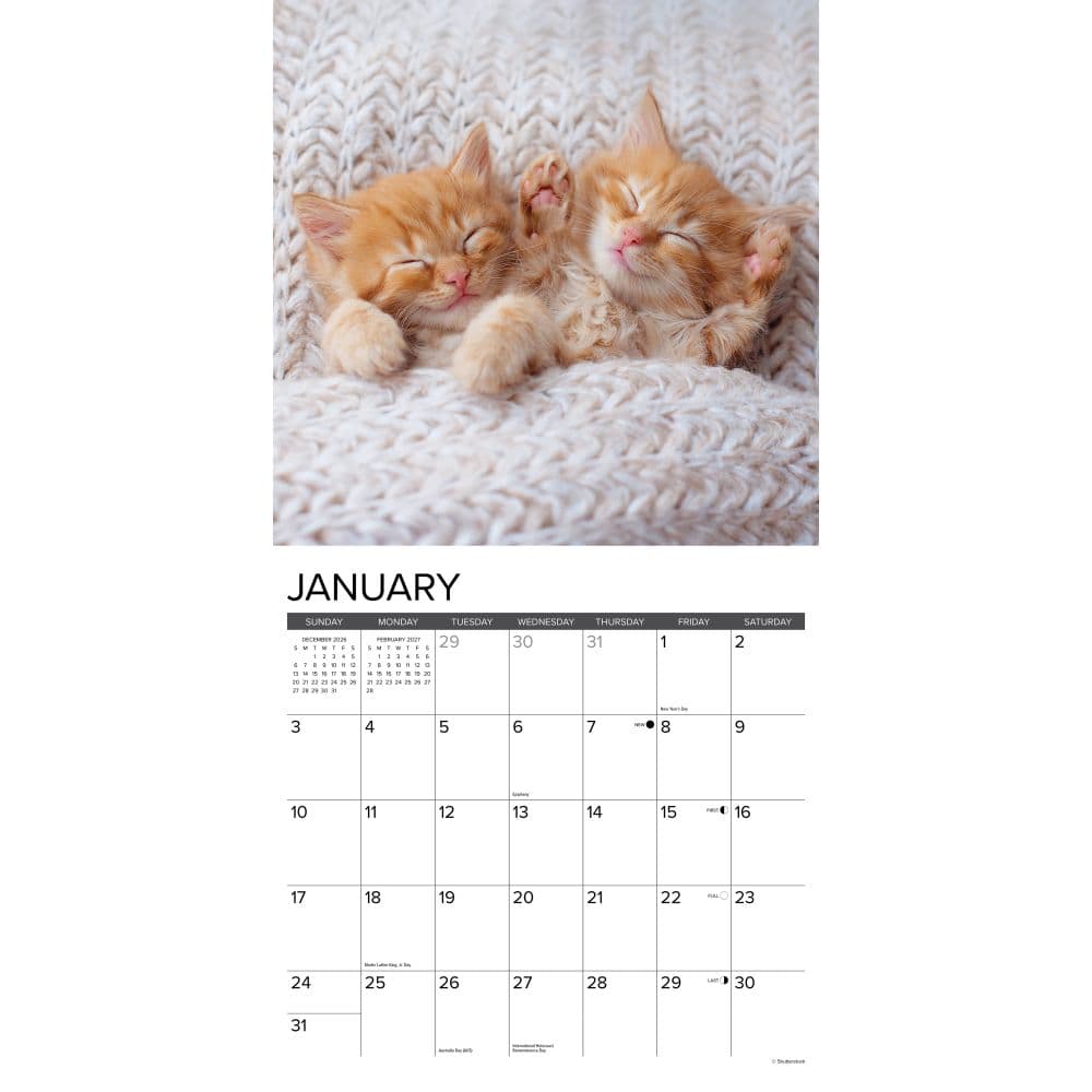 Just Kittens 2027 Wall Calendar Second Alternate Image