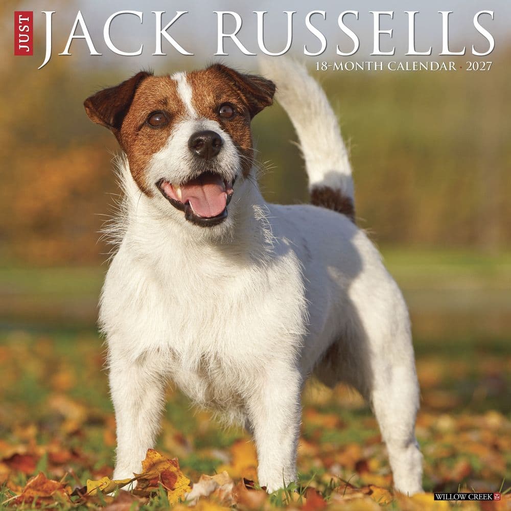 Just Jack Russells 2027 Wall Calendar Main Product Image