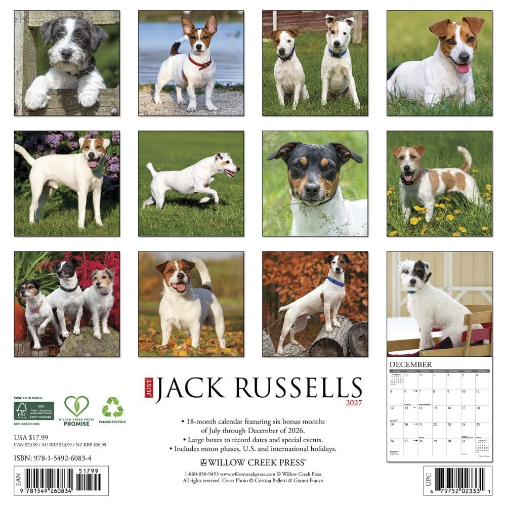 Just Jack Russells 2027 Wall Calendar First Alternate Image