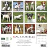 image Just Jack Russells 2027 Wall Calendar First Alternate Image