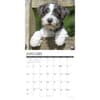 image Just Jack Russells 2027 Wall Calendar Second Alternate Image