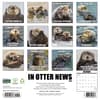 image In Otter News 2027 Wall Calendar First Alternate Image