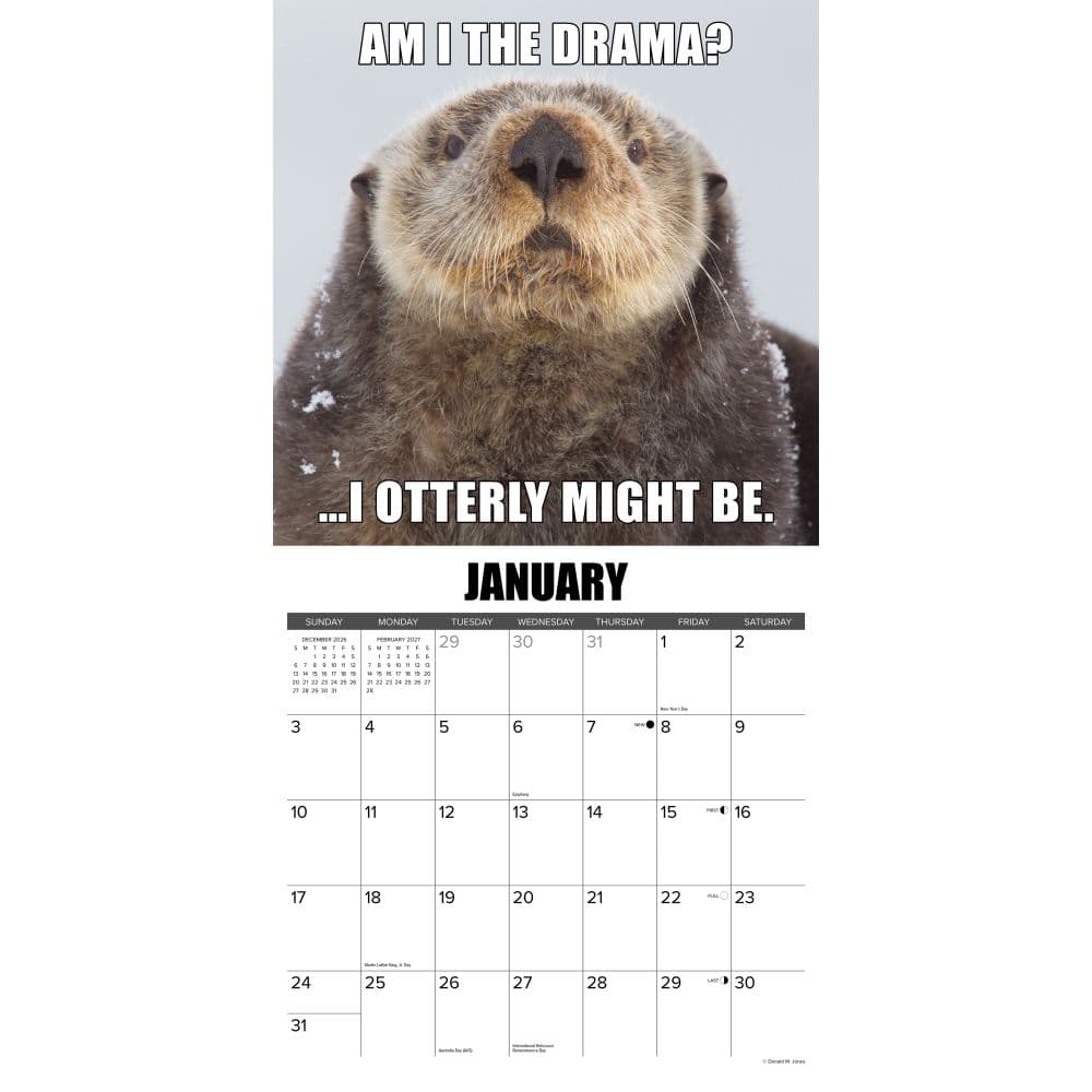 In Otter News 2027 Wall Calendar Second Alternate Image
