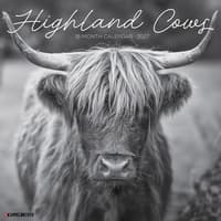 image Highland Cows 2027 Wall Calendar Main Product Image