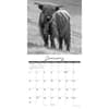 image Highland Cows 2027 Wall Calendar Second Alternate Image