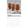 image Highland Cows 2027 Wall Calendar Second Alternate Image