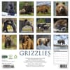image Grizzly Bears 2027 Wall Calendar First Alternate Image