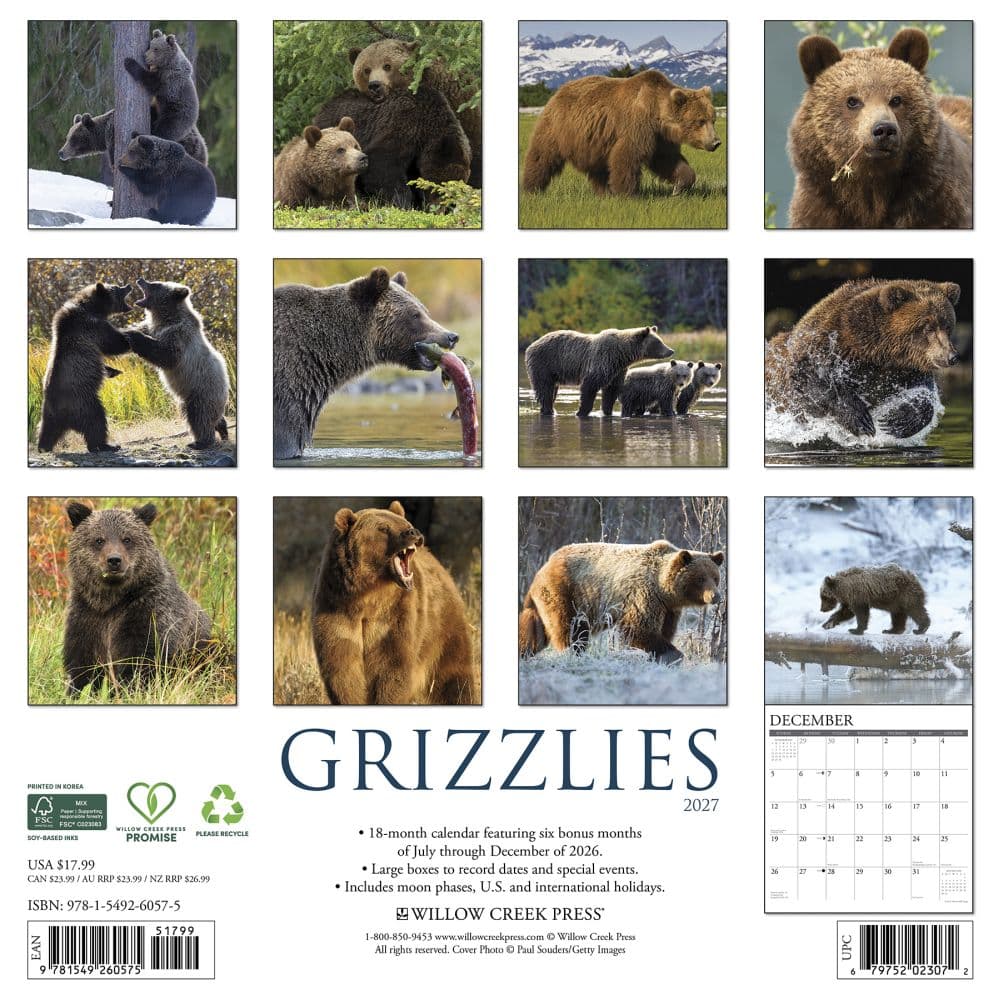 Grizzly Bears 2027 Wall Calendar First Alternate Image