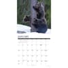 image Grizzly Bears 2027 Wall Calendar Second Alternate Image