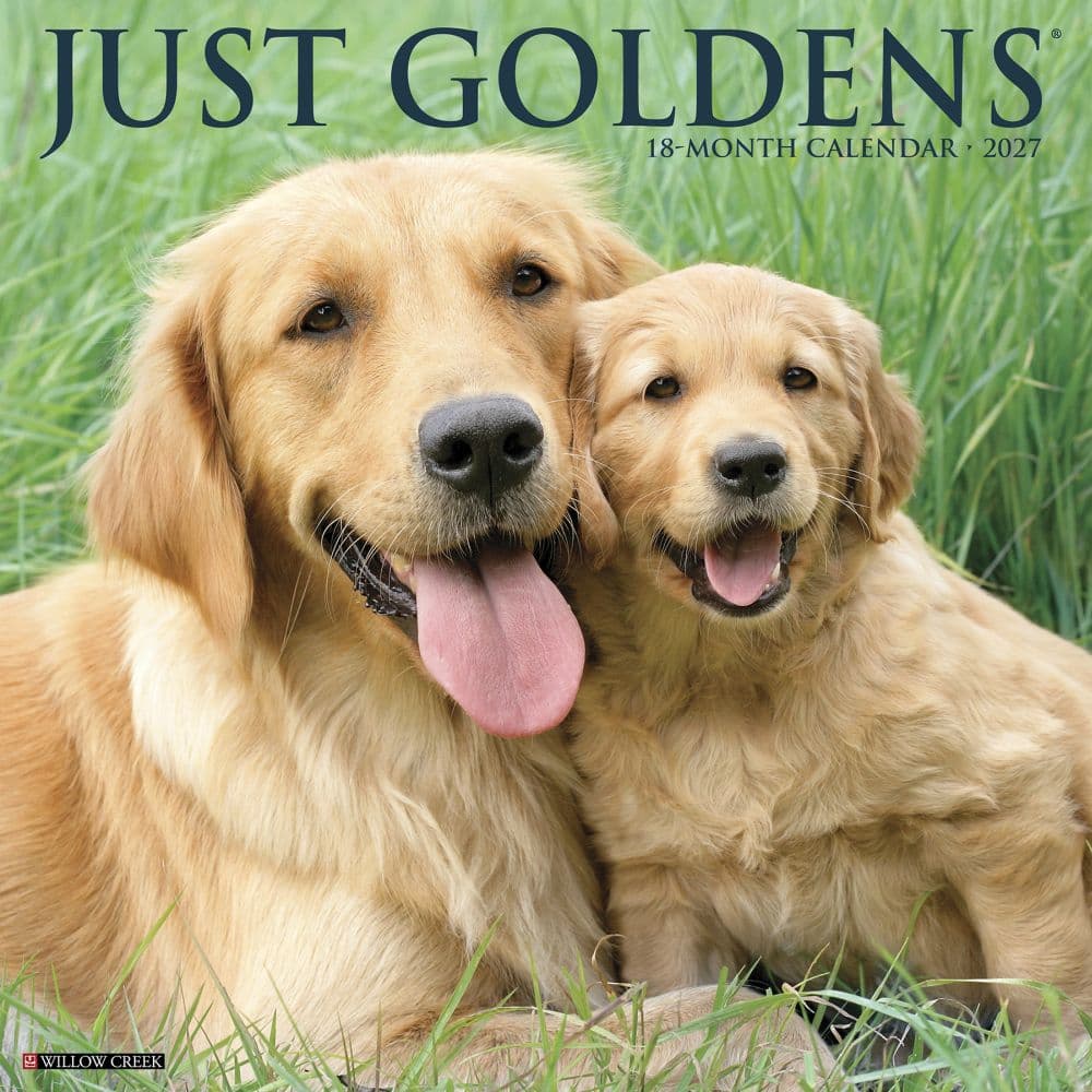 Just Goldens 2027 Wall Calendar Main Product Image