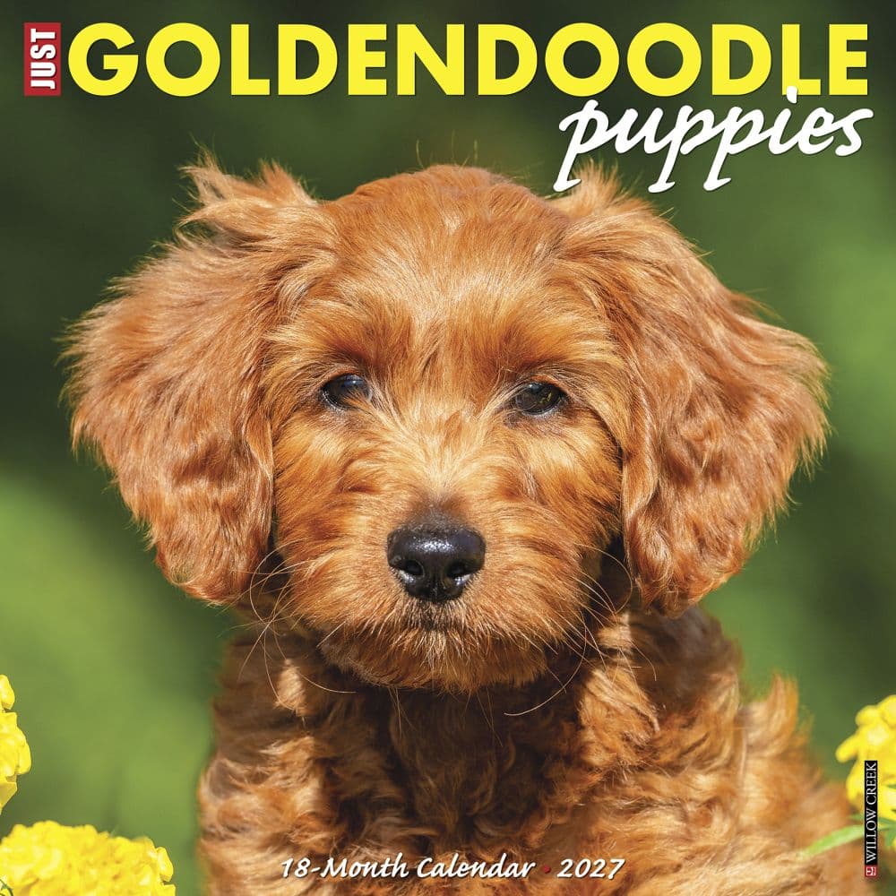 image Just Goldendoodle Puppies 2027 Wall Calendar Main Product Image