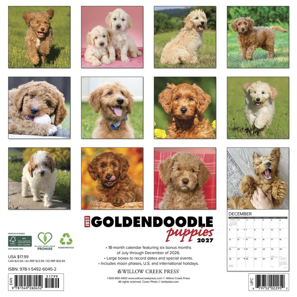 Just Goldendoodle Puppies 2027 Wall Calendar First Alternate Image