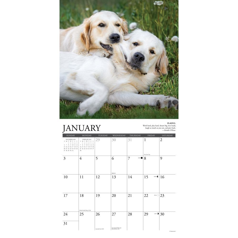 Golden Rules 2027 Wall Calendar Second Alternate Image