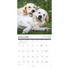 image Golden Rules 2027 Wall Calendar Second Alternate Image