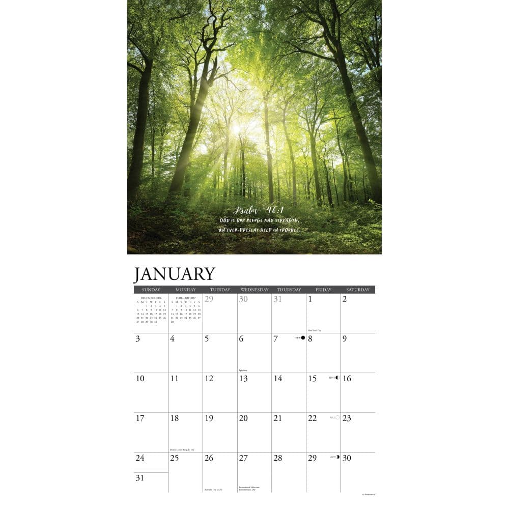 Gods Palette 2027 Wall Calendar Second Alternate Image