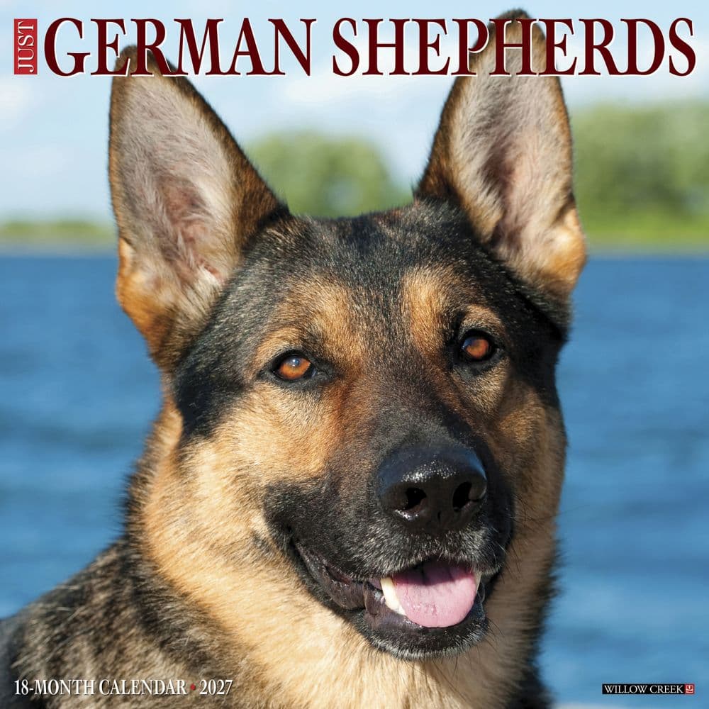 Just German Shepherds 2027 Wall Calendar Main Product Image