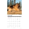 image Just German Shepherds 2027 Wall Calendar Second Alternate Image