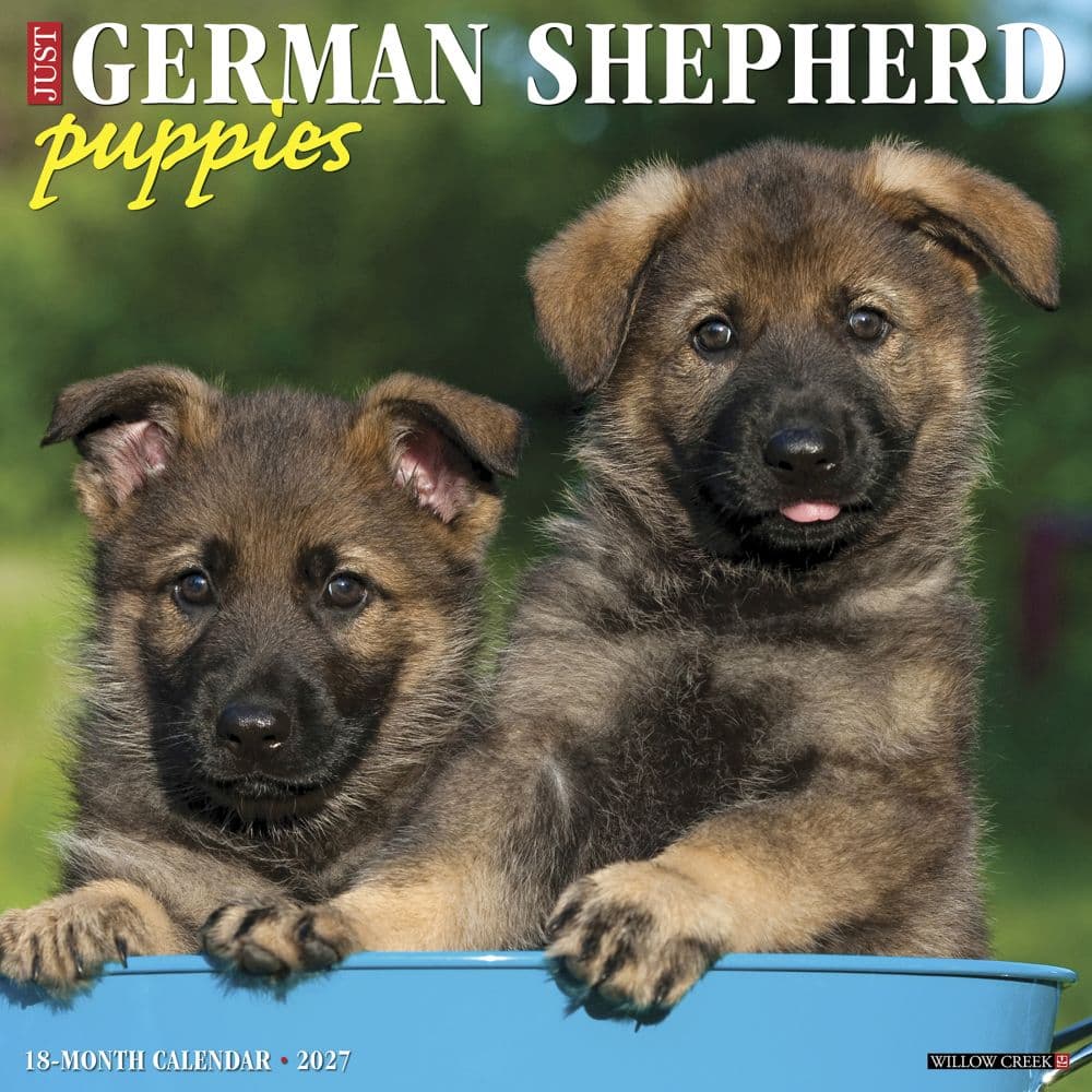 Just German Shepherd Puppies 2027 Wall Calendar Main Product Image