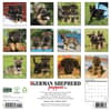 image Just German Shepherd Puppies 2027 Wall Calendar First Alternate Image