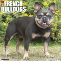 image Just French Bulldogs 2027 Wall Calendar Main Product Image